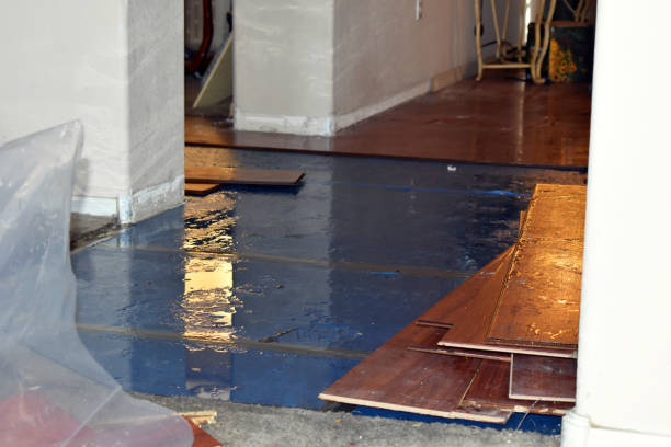Professional Basement Flood Cleanup technician working in Orland, ME